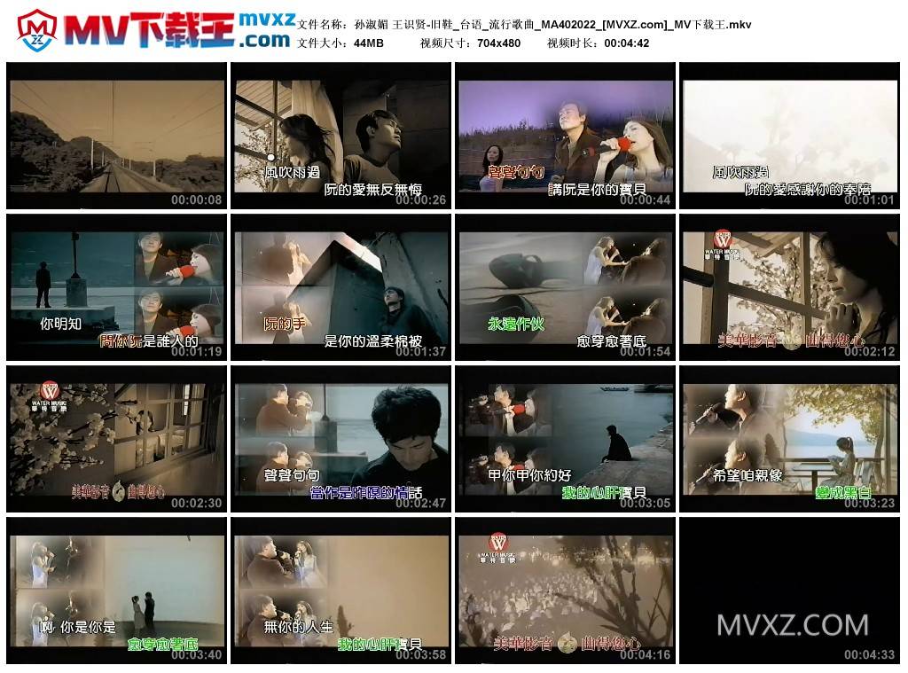 孙淑媚 王识贤-旧鞋_台语_流行歌曲_MA402022
